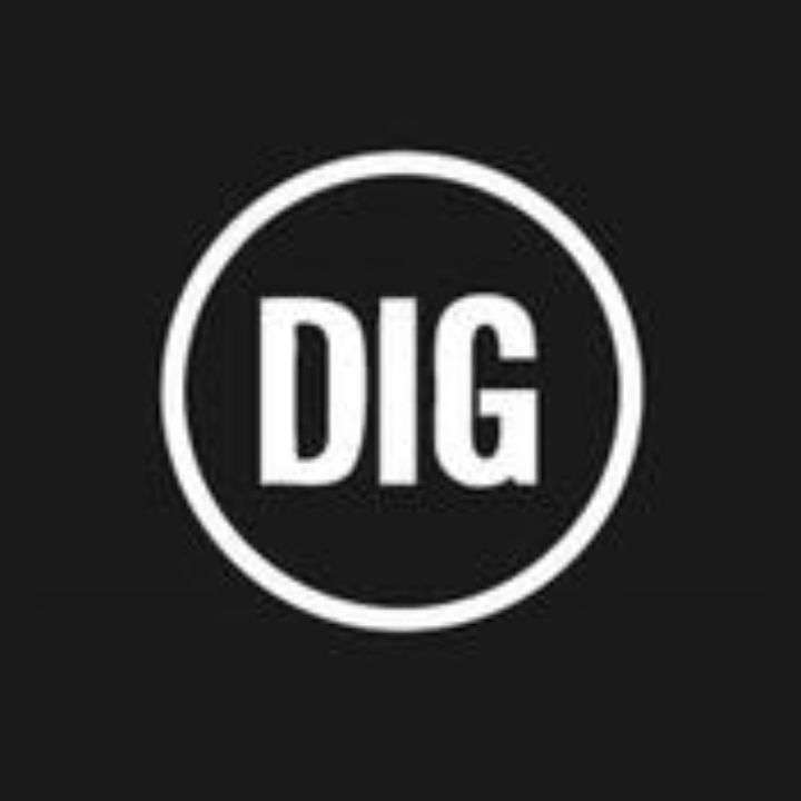 dig bmx logo dig bmx logo